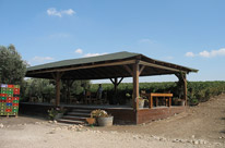 View of Karmei Yosef