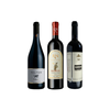 14 – Remarkable Red Wines from the North, the South, and the Center of Israel